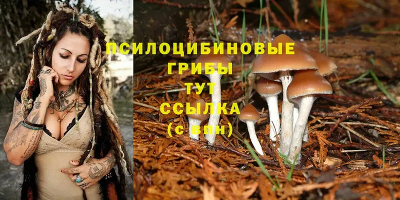 Псилоцибиновые грибы Magic Shrooms  MEGA tor  Энем 